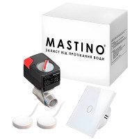Система контролю протікання води Mastino TS11/2 light white